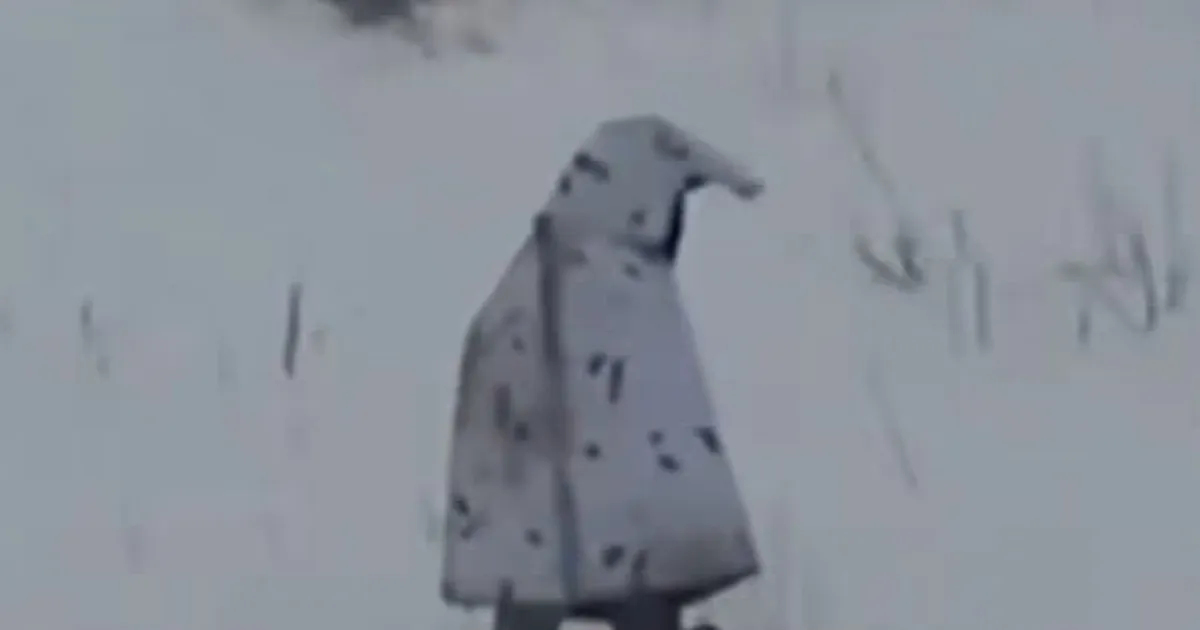 VIDEO ⟩ Aina kummalisemaks läheb: pingviiniks maskeerunud Vene sõdur püüdis drooni eest pääseda