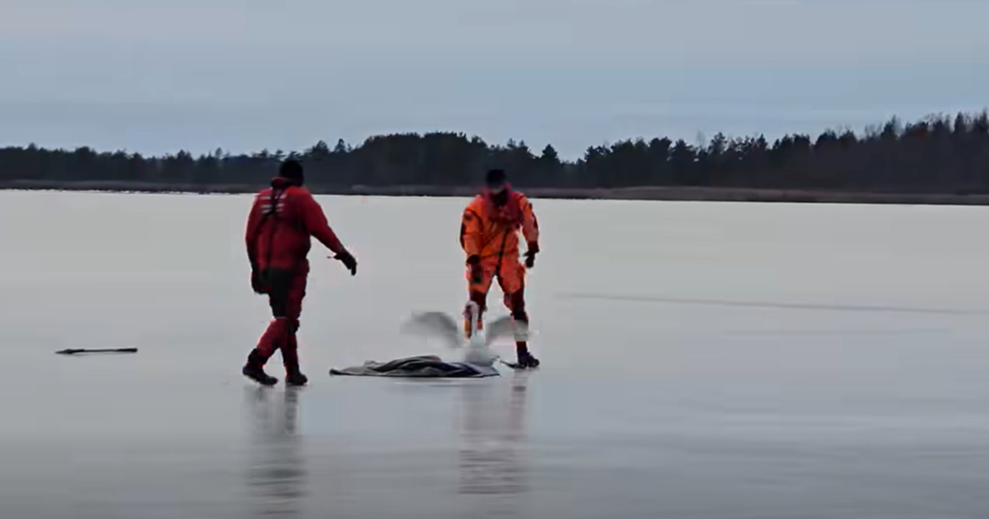 VIDEO | Paldiski päästjad abistasid jääle lõksu sattunud luike