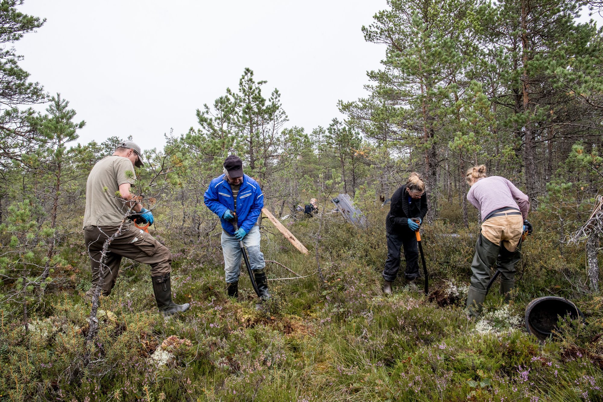 Kohus peatas osaliselt Kikepera looduskaitseala veerežiimi taastamistööd, vaidlus jätkub