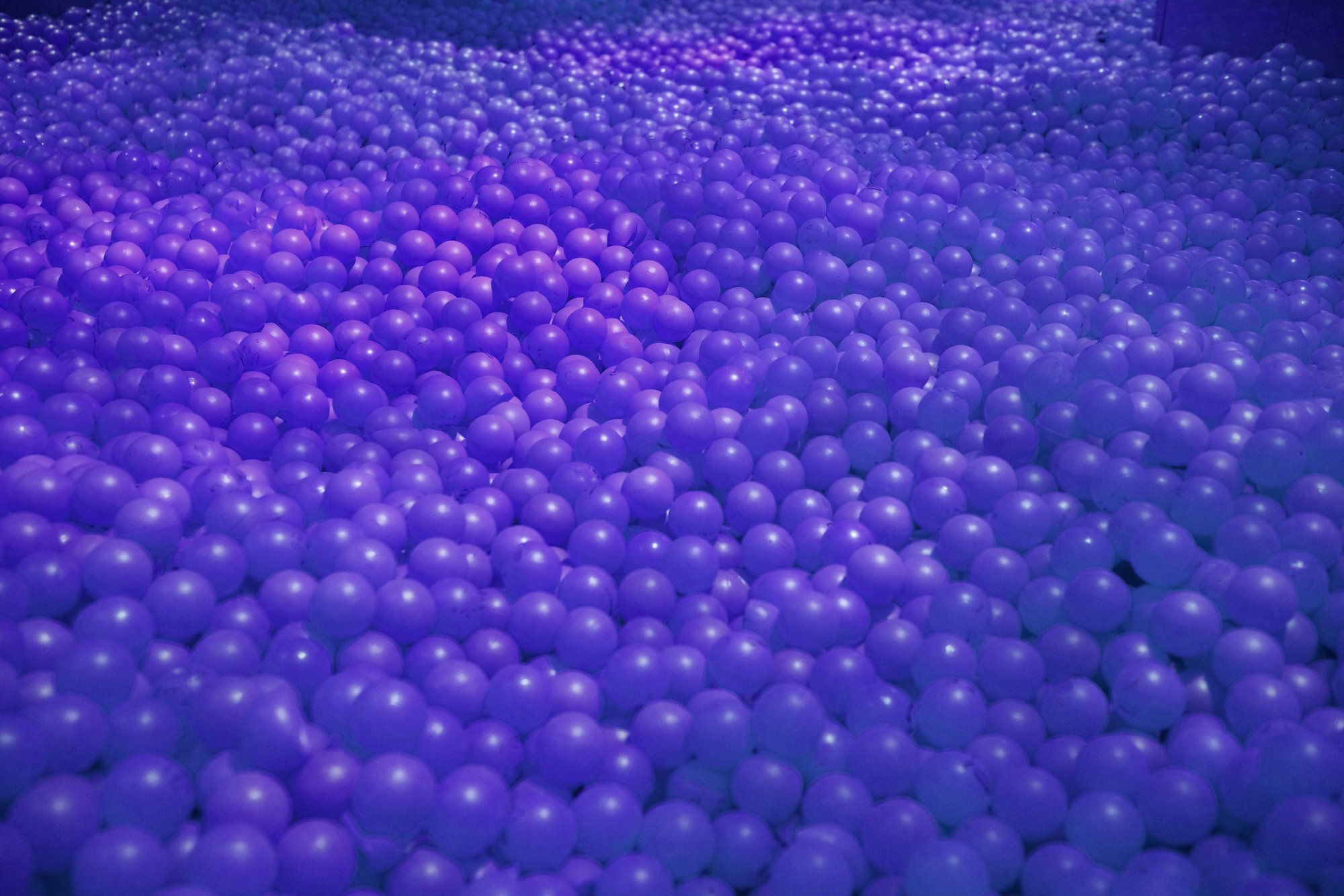 Tallinnas avatakse Eesti esimene selfie-muuseum