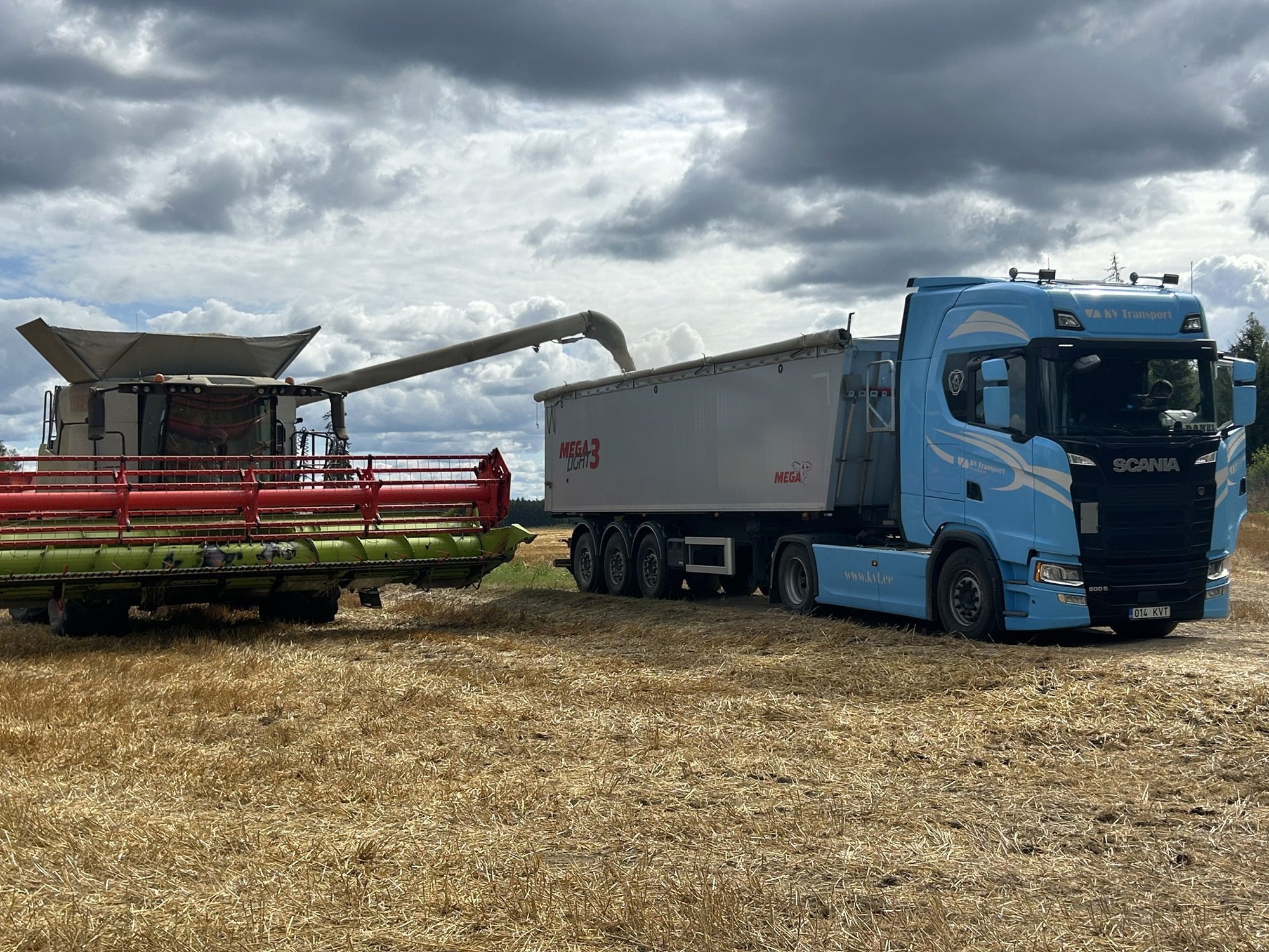 Legendaarne ´Sangaste´ jäi taas üksi – hübriidrukkid võtsid viljelusvõidu