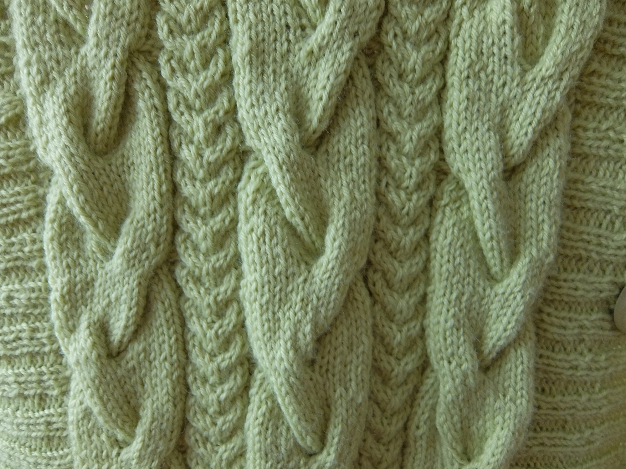 Koo mitme palmikuga lihtne, kuid kaunis vest