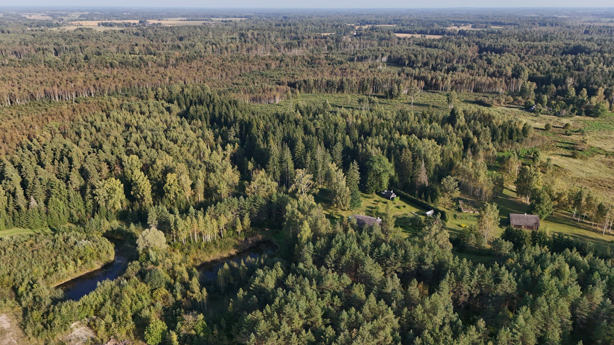 Mida toob Eesti metsadele RMK raiemahu vähendamine?