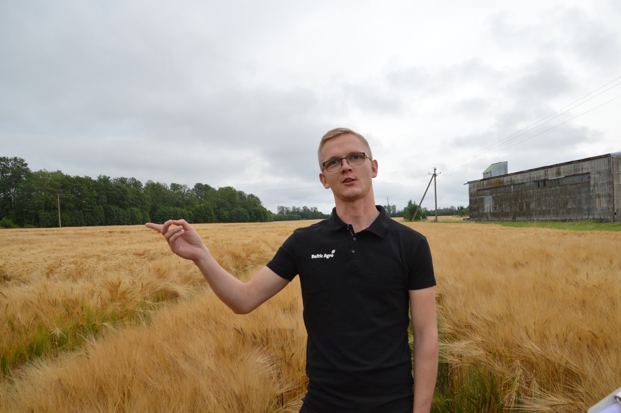 Viljelusvõit kinnitab: oder pole Eesti põldudelt kadumas