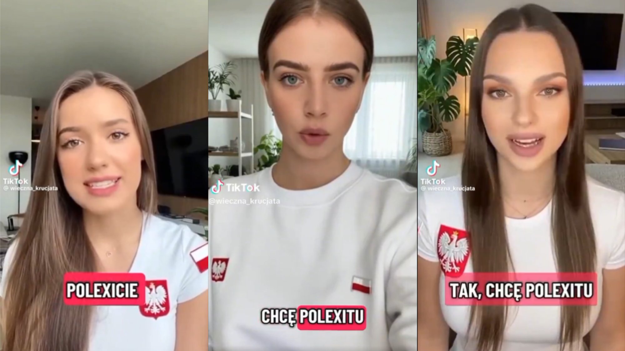 TikTokis levisid AI videod, kus propageeritakse Poola lahkumist Euroopa Liidust. Riik näitab näpuga Venemaa poole