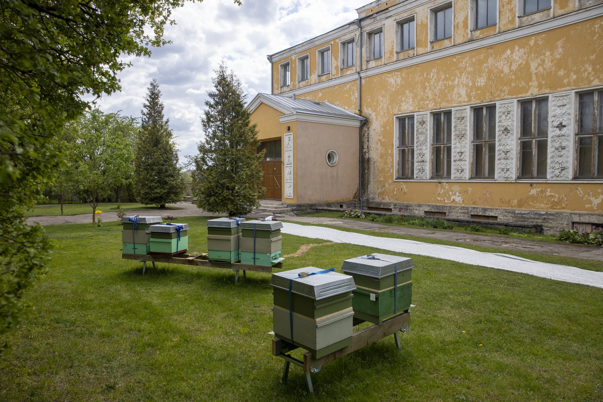 Vaidlus Põhja-Tallinnas: kes lubas MTÜ lagunevasse majja?