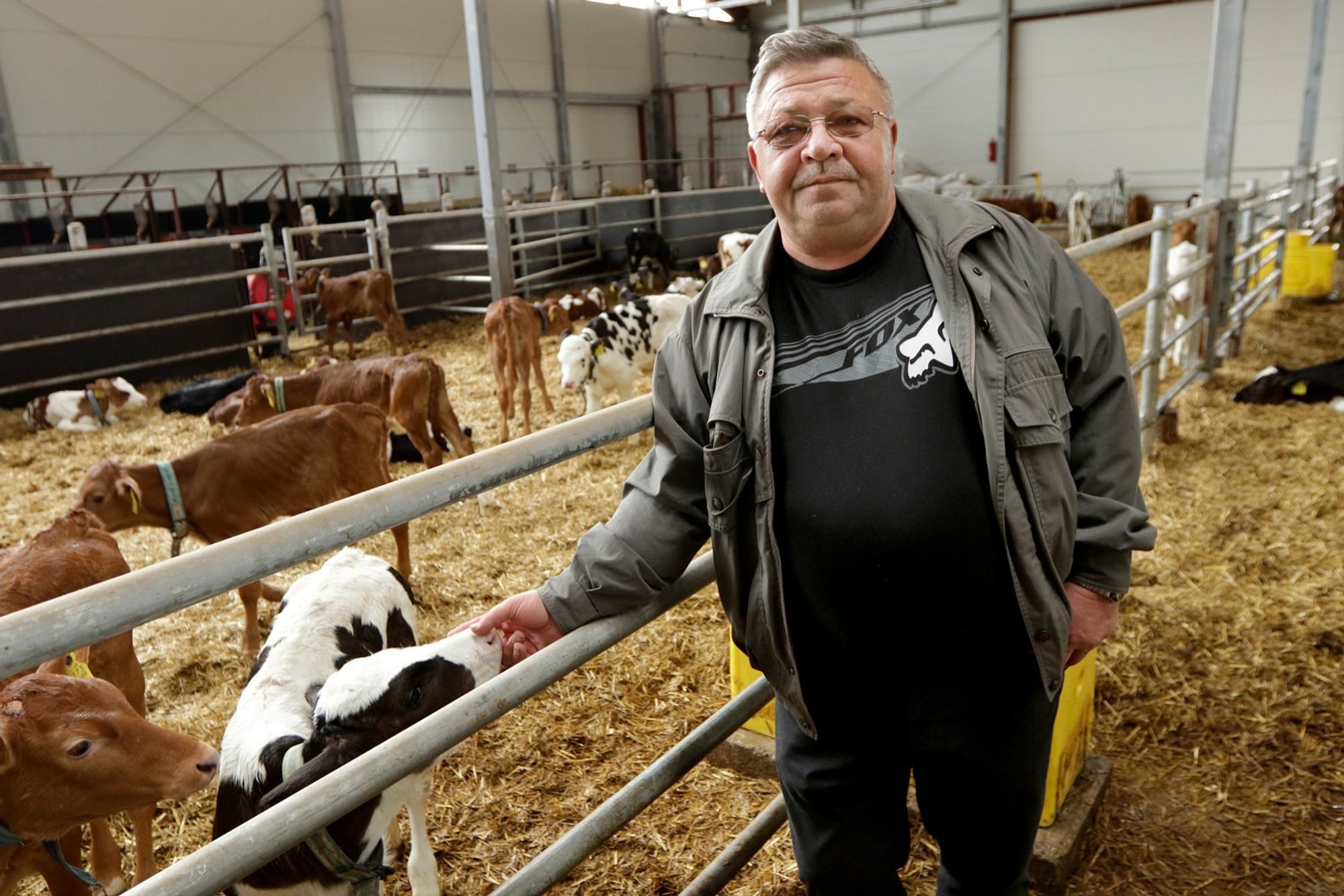 Suurfarmer meiereid rajama ei hakka: mul on vaja raha, mitte lisatööd!