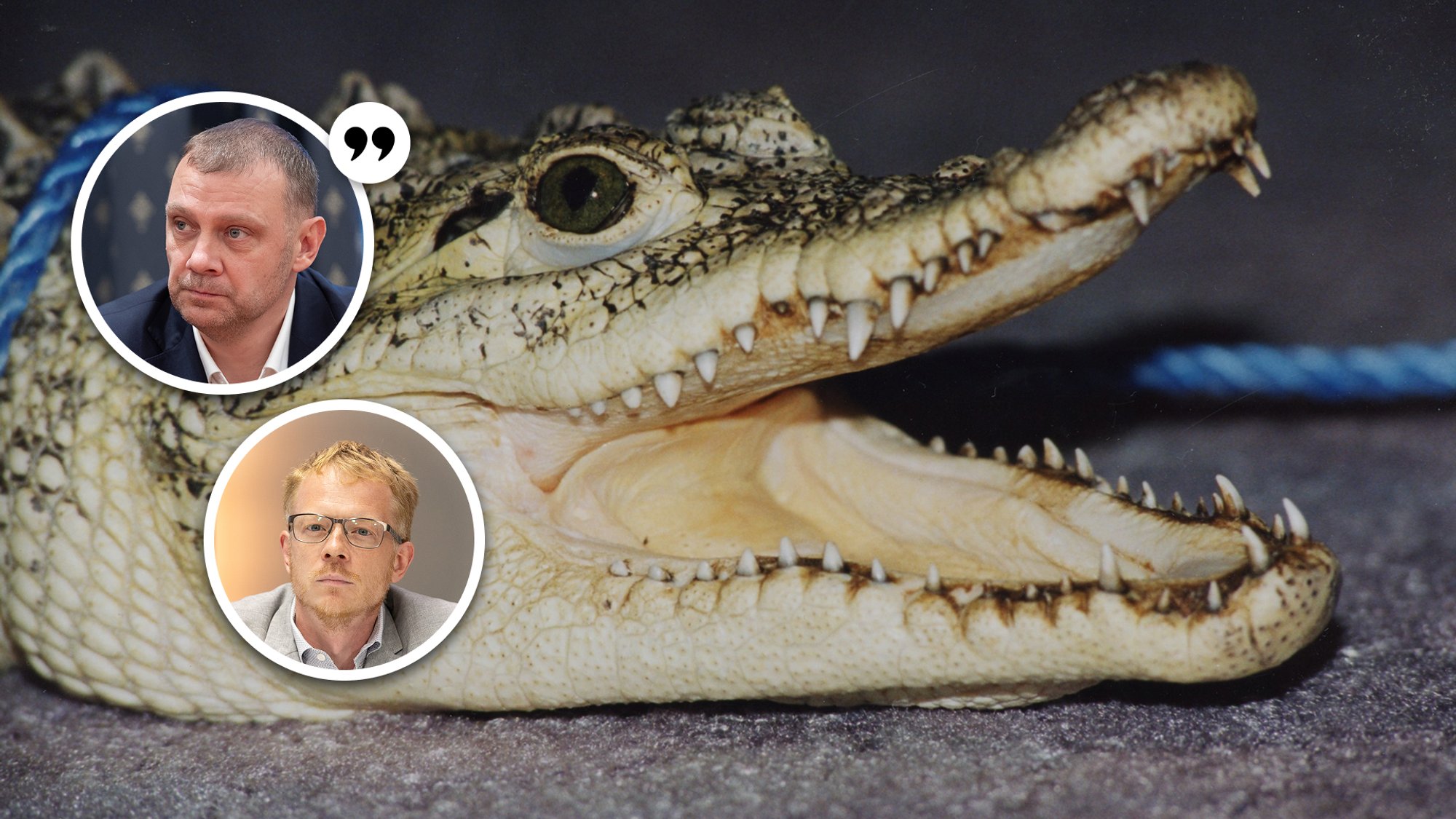 VASTUVÄIDE | Kaido Saarniit: krokodillipisarate valajad lõid Tallinnas ise lugematuid poliitilisi töökohti