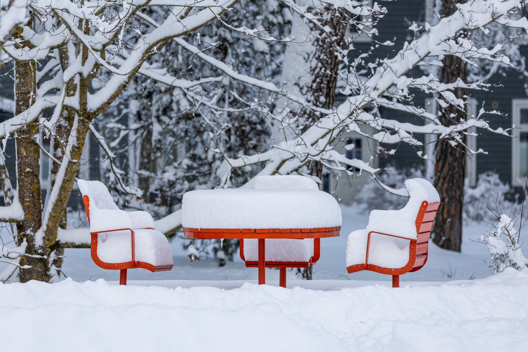 ILMATEADE | Mitmel pool tuiskab