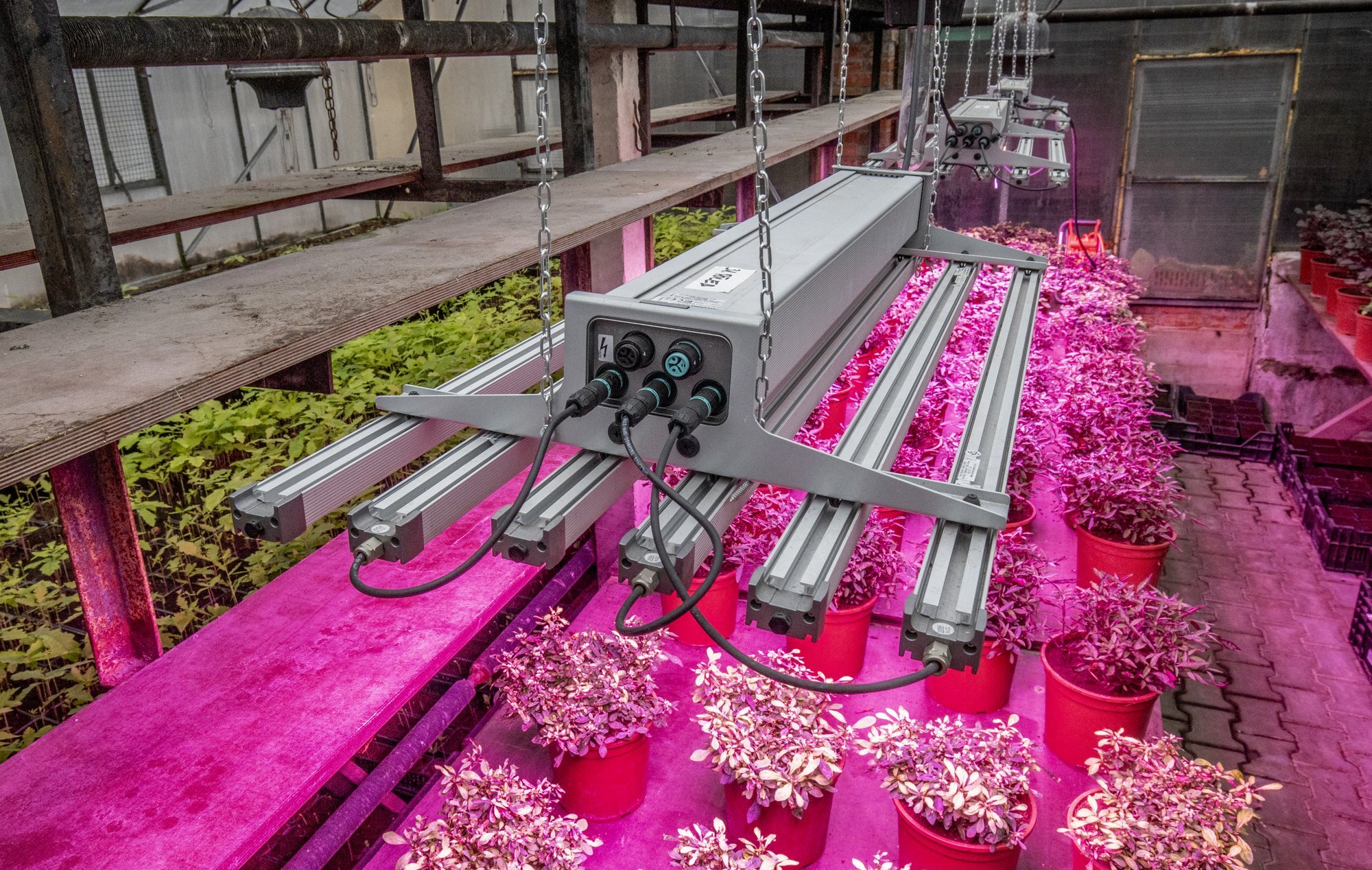 Ränk hoop: Tallinna asutuste energiakulu lendas kosmosesse