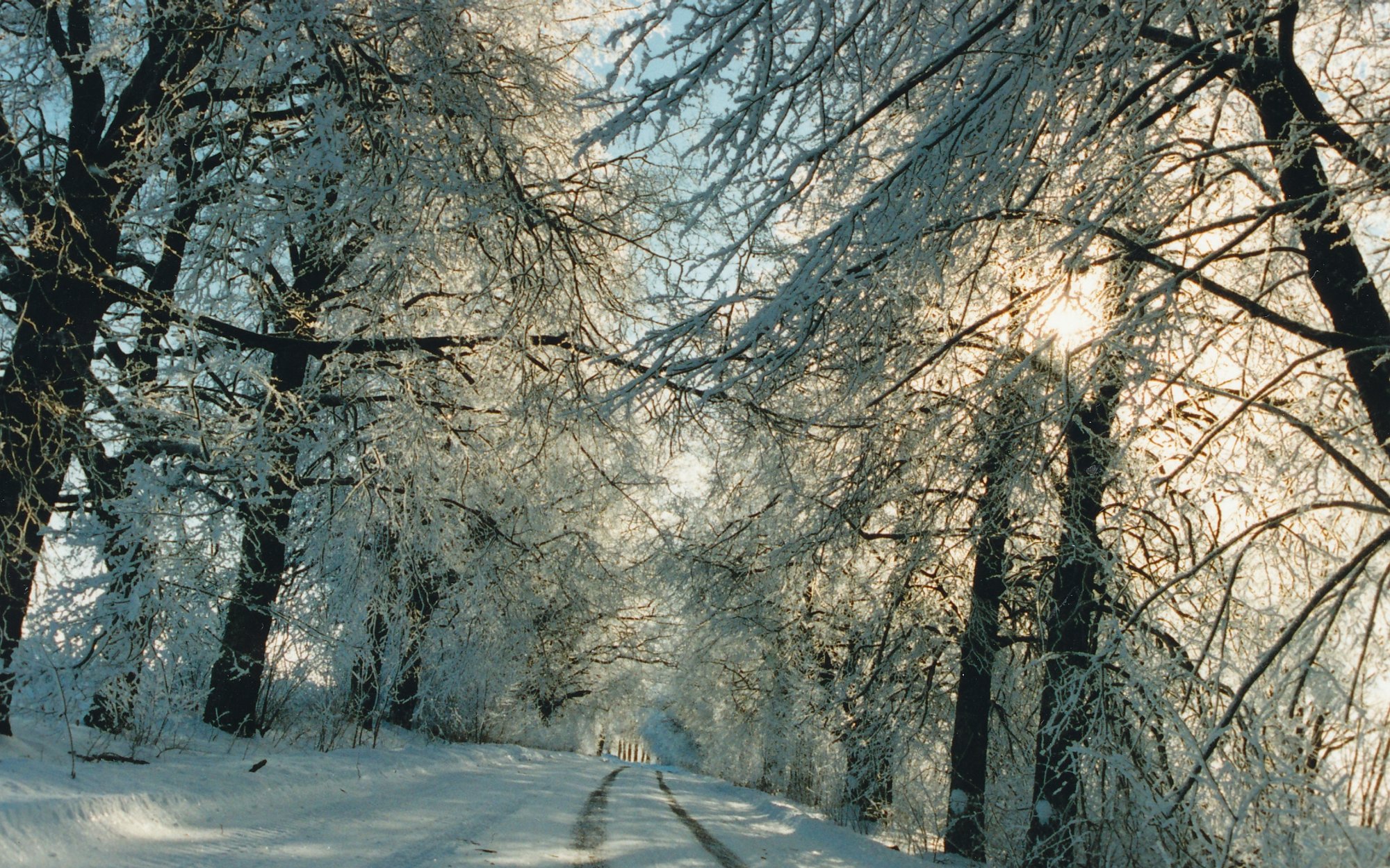ILMATEADE | Oodata on nõrka lumesadu ja krõbedaid külmakraade