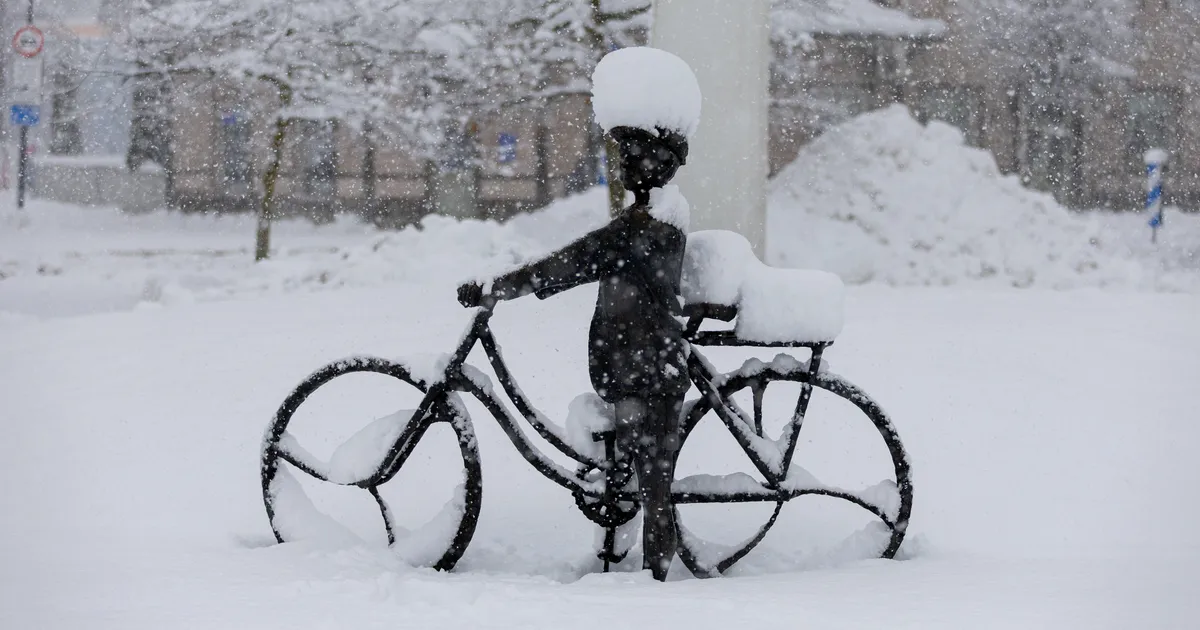 Homme on külm ilm ja sajab lund