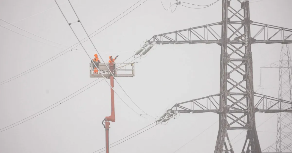 Aasta sagedusreservide turgudel: kulud jäid prognoositu lähedale