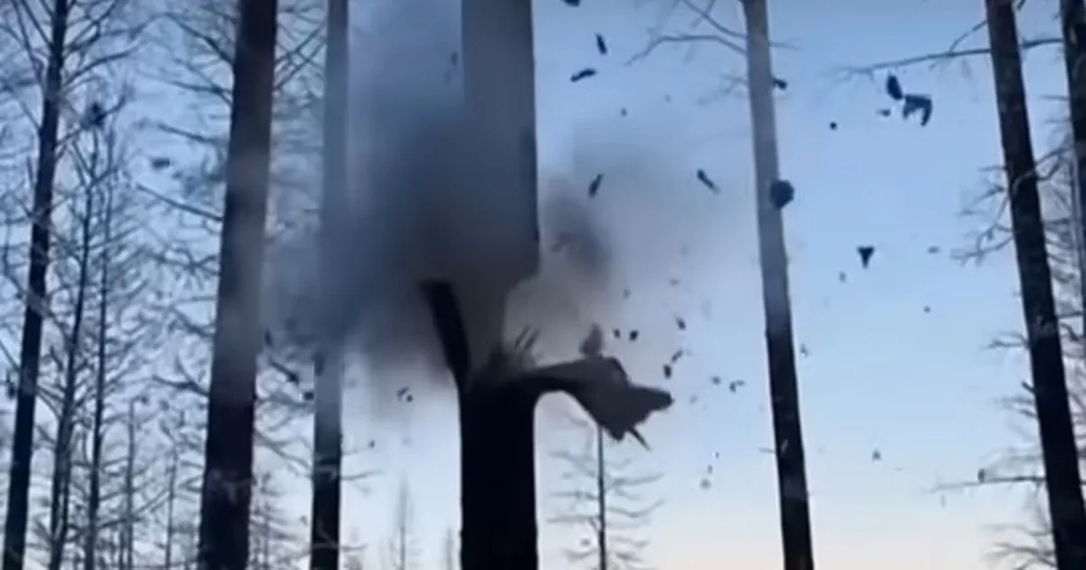 Mitte ainult praksuvad vaid susia plahvatavad puud – see käib äkilise lumetormiga kaasas