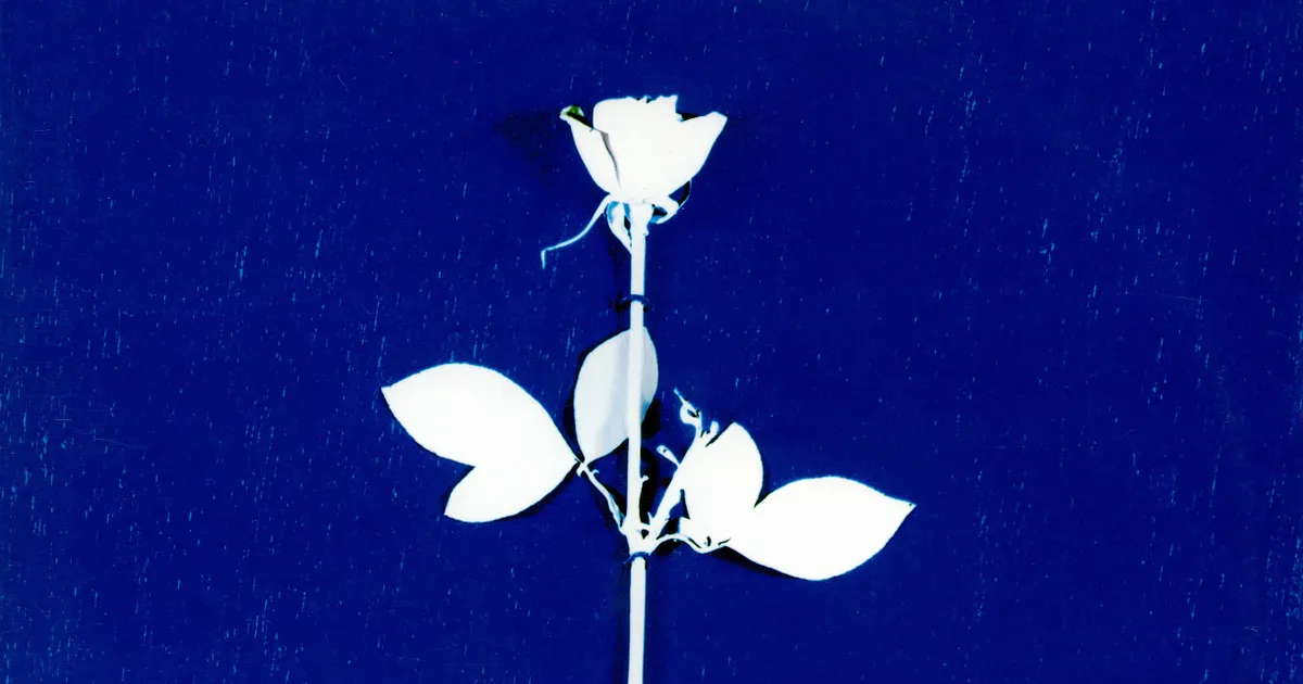 «Enjoy The Silence» 36: Anton Corbijn räägib Depeche Mode'i legendaarse kahvatu roosi sünniloost