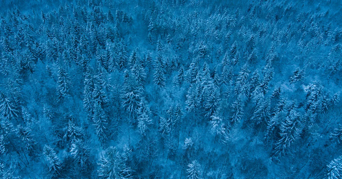 Kolmapäeval tuleb kuni 25 kraadi külma