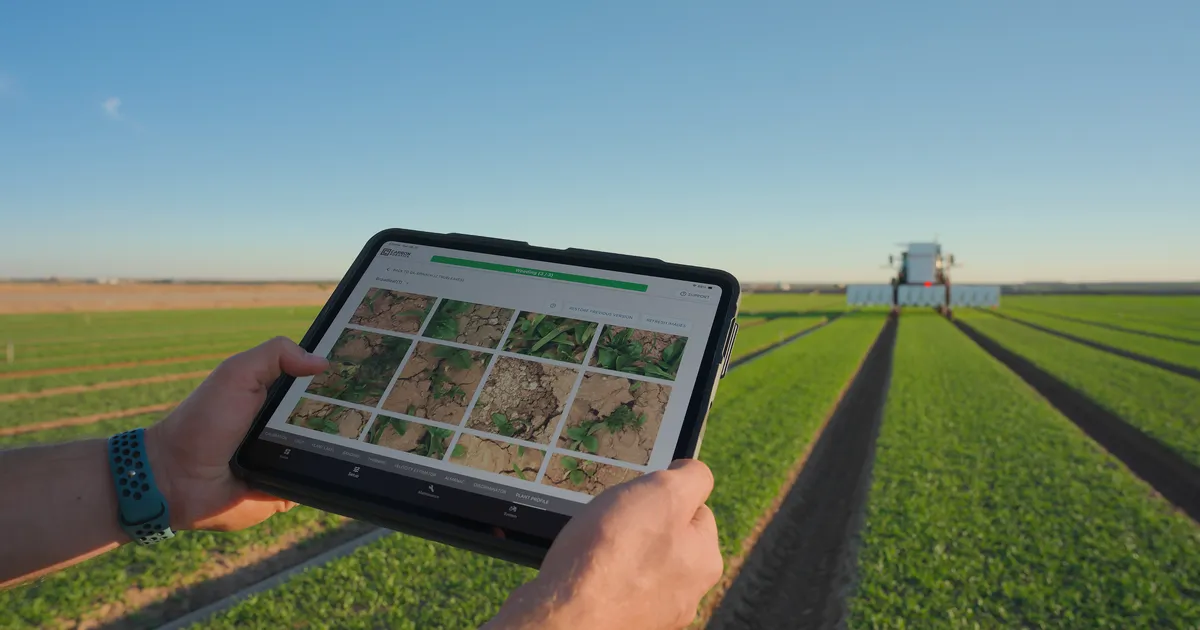 Tehisaru õpetas põllurobotid umbrohtu ära tundma ja koheselt hävitama