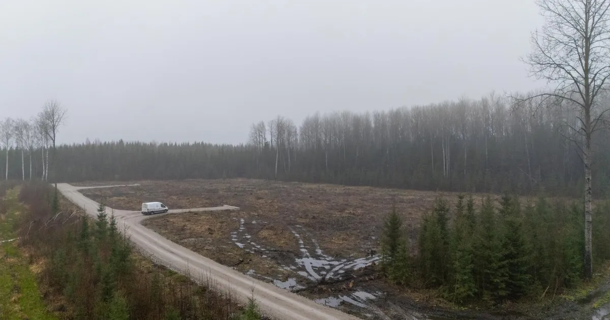 Riik rajab katkusigade matmispaiga naabritele puurkaevud