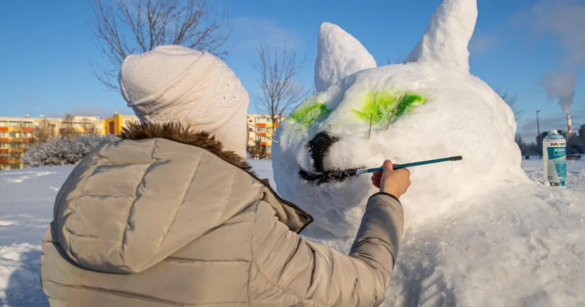 Lähipäevade ilm jätkub talvisel külmalainel