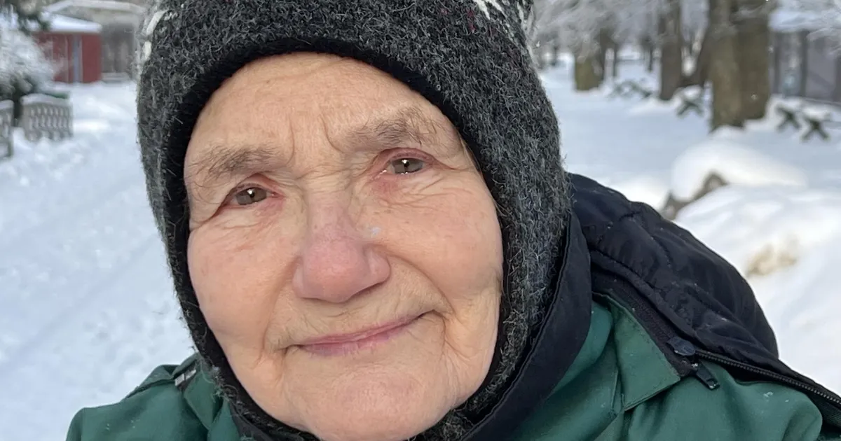 INIMESTEST AEGAMÖÖDA ⟩ Anne Saluneem. Räägib tiigritega tiigrite keeles