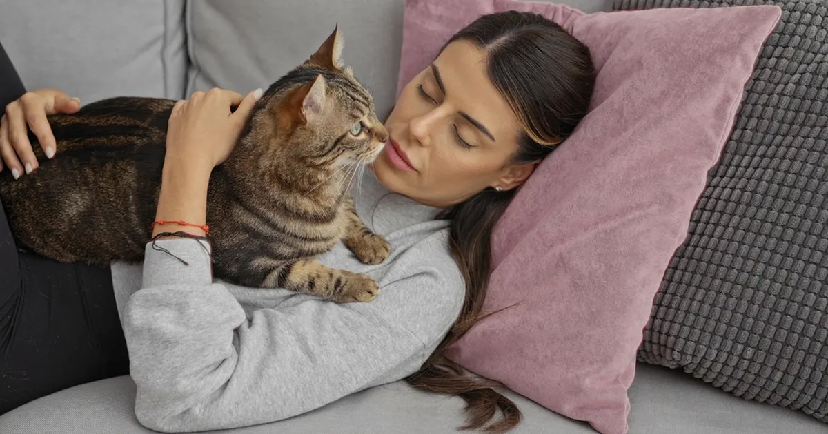 Üllatavad põhjused, miks kass inimeste peal magada armastab