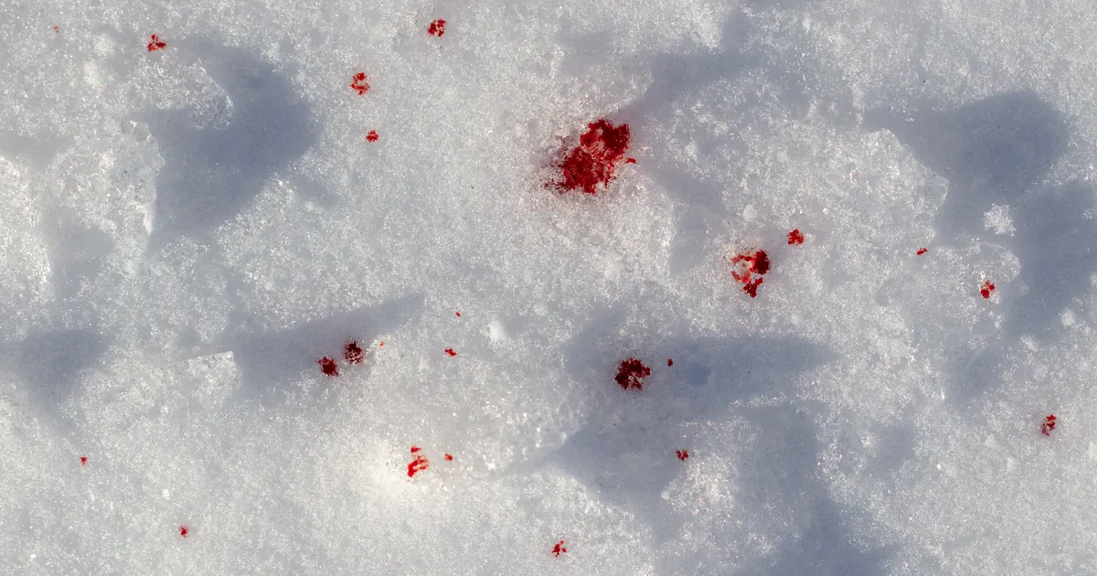 FOTOD ⟩ Verised jäljed lumel viisid Sauel šokeeriva avastuseni