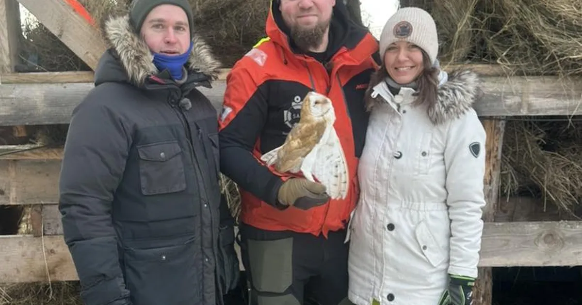 ERAKORDNE LEID ⟩ Ruhnu saarele eksis ülimalt haruldane lind