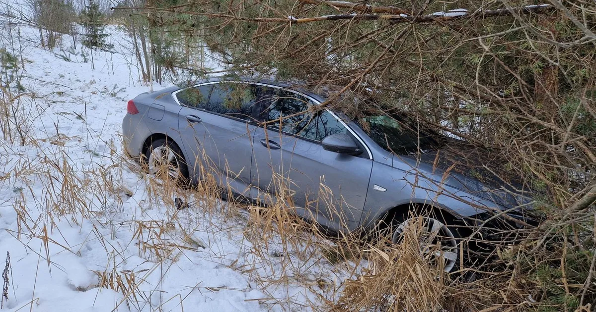 Purjus mees sõitis Elva lähistel autoga suurel kiirusel teelt välja