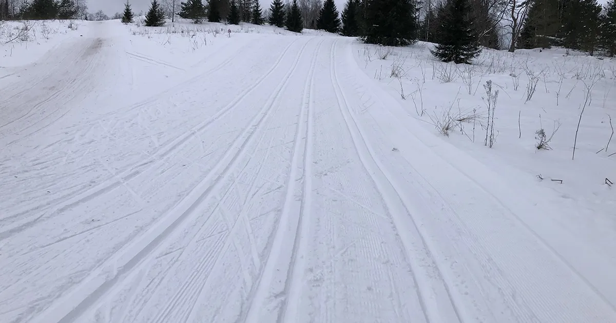 KINDEL ⟩ Tartu maraton suusatatakse täies pikkuses originaalrajal