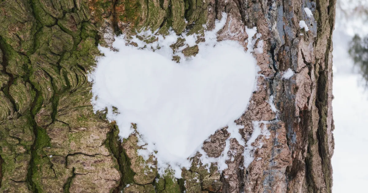 KELLEL VEAB? ⟩ Nende kolme tähemärgi armuõnn hakkab pöörduma