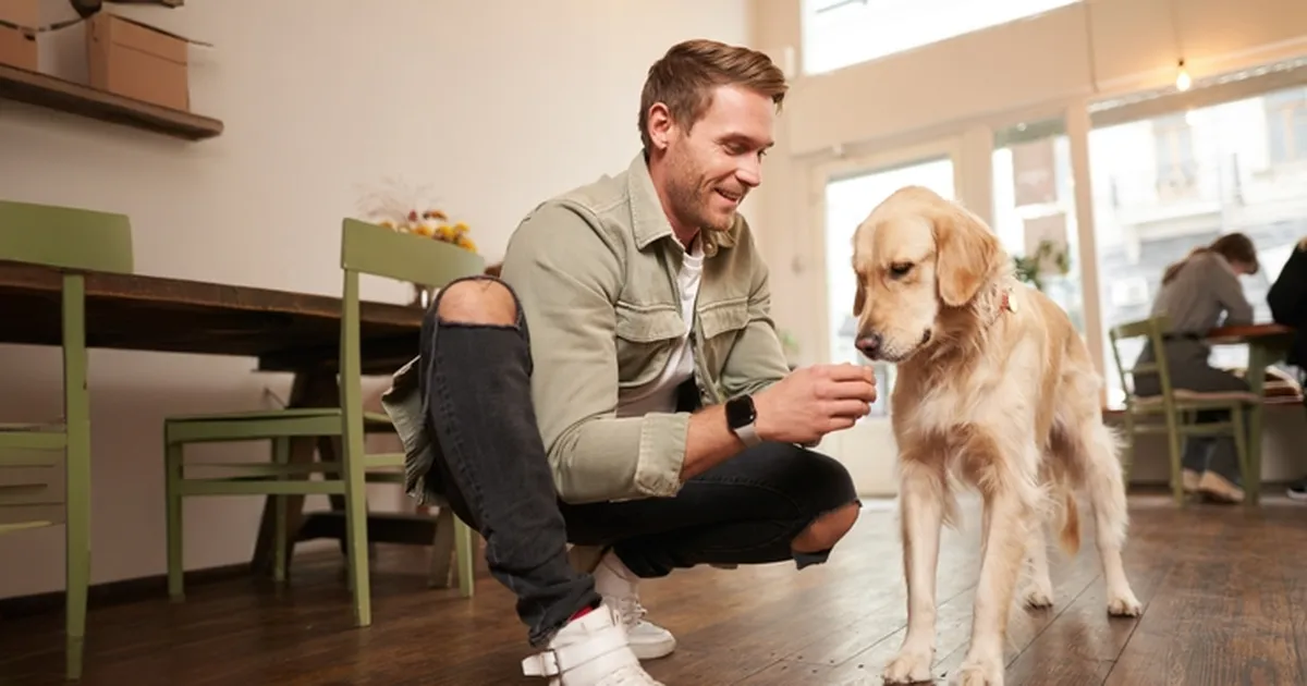 NALJA NABANI ⟩ Lõunasöögist sõpradega sai internetisensatsioon: ootamatu mööduja naerutab tuhandeid