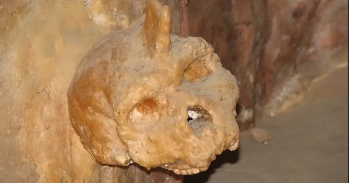 Teadlastel vajus suu lahti kui nägid seda kolpa koopaseinas