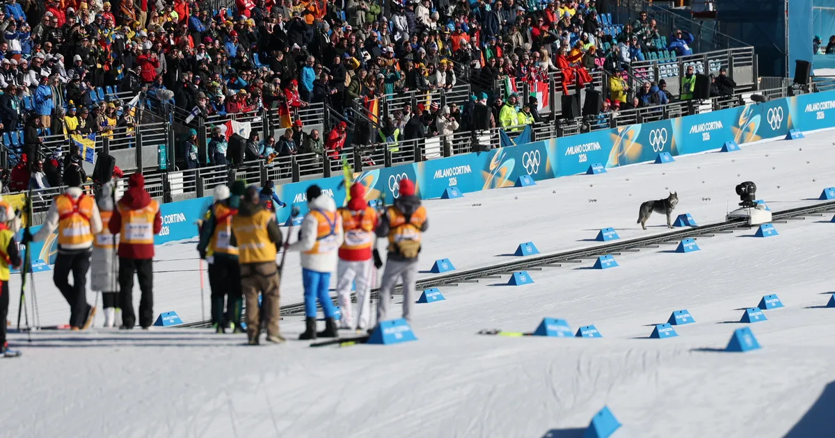 FOTOD ⟩ Sprinditeates tormas rajale koer, kes jooksis finišisse ja lippas fluorikontrolli