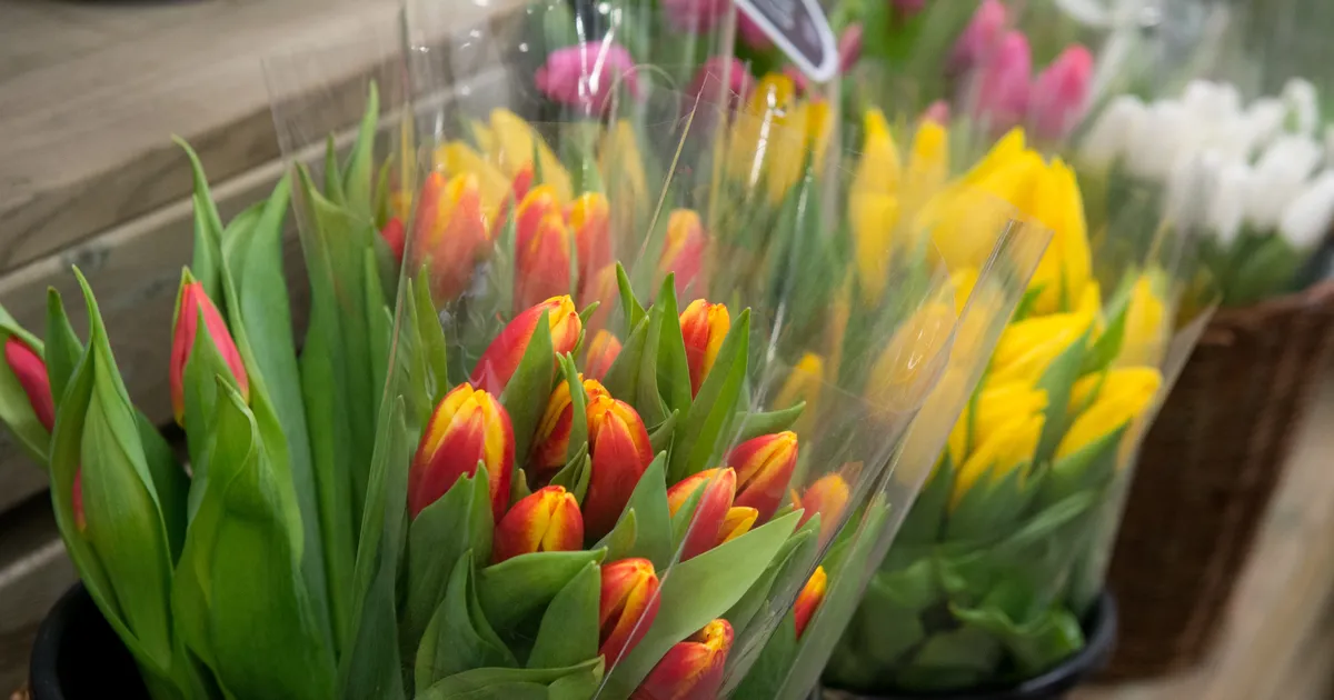 FOTOD ⟩ Toidupoodides alles jäänud valentinipäeva tulbid antakse ära kommiraha eest