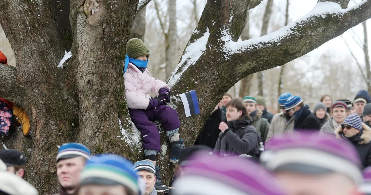 GALERII ⟩ Tartu tähetorni juures austati Eesti lippu