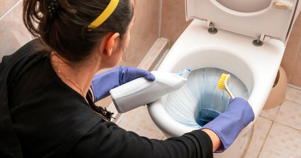 KAS TEAD? ⟩ Kui tihti tuleks WC-poti harja vahetada