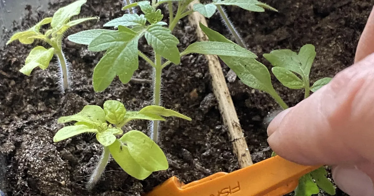 NÄDALA AED ⟩ Õigel ajal stardijoonel