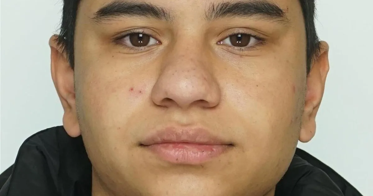 Politsei otsib Sillamäel kadunuks jäänud Sabiri