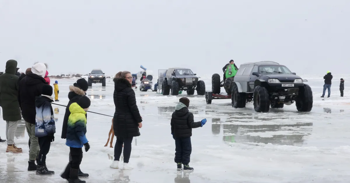 PILDID JA VIDEO ⟩ Kummijukud meelitasid sajad inimesed Kallastele