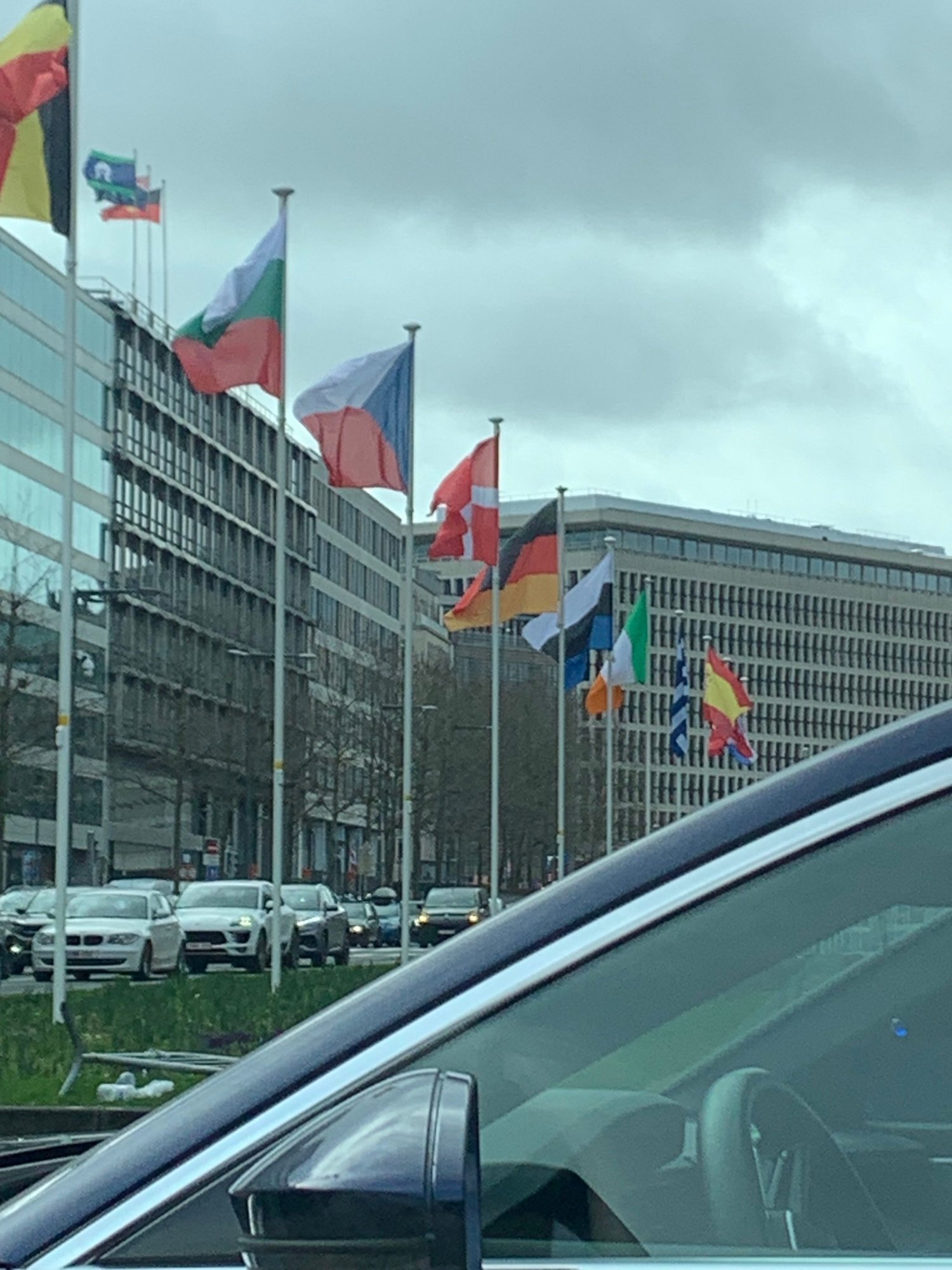 VIDEO ja FOTO | Brüsselis heisati Eesti lipp tagurpidi masti