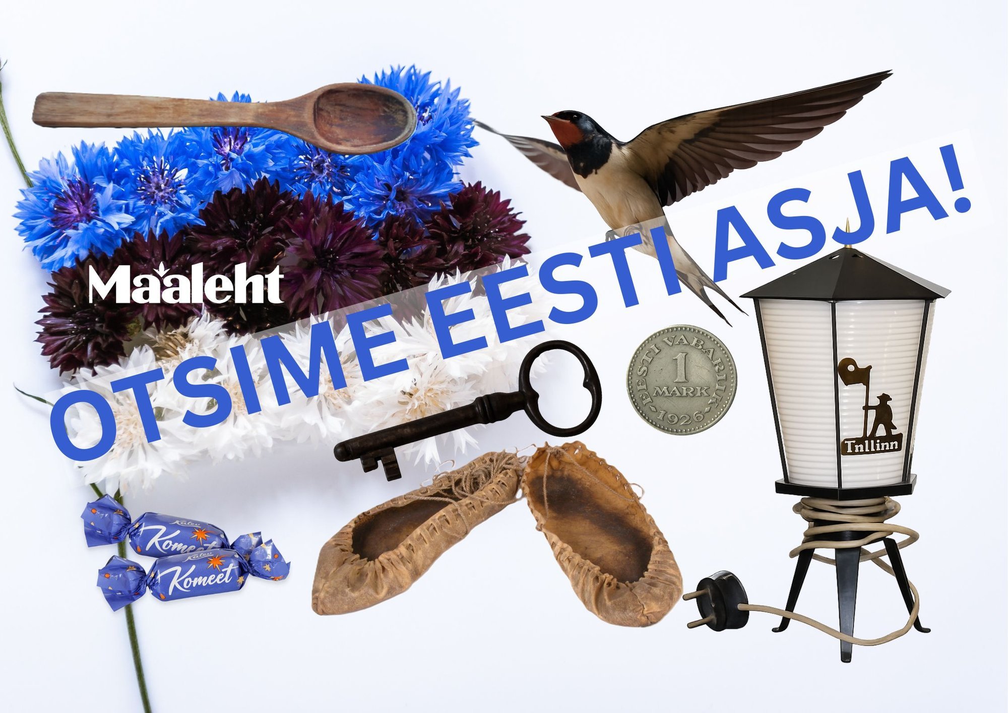 Maalehe üleskutse Eestimaa rahvale: leiame Eesti sünnipäevaks üles Eesti asja!