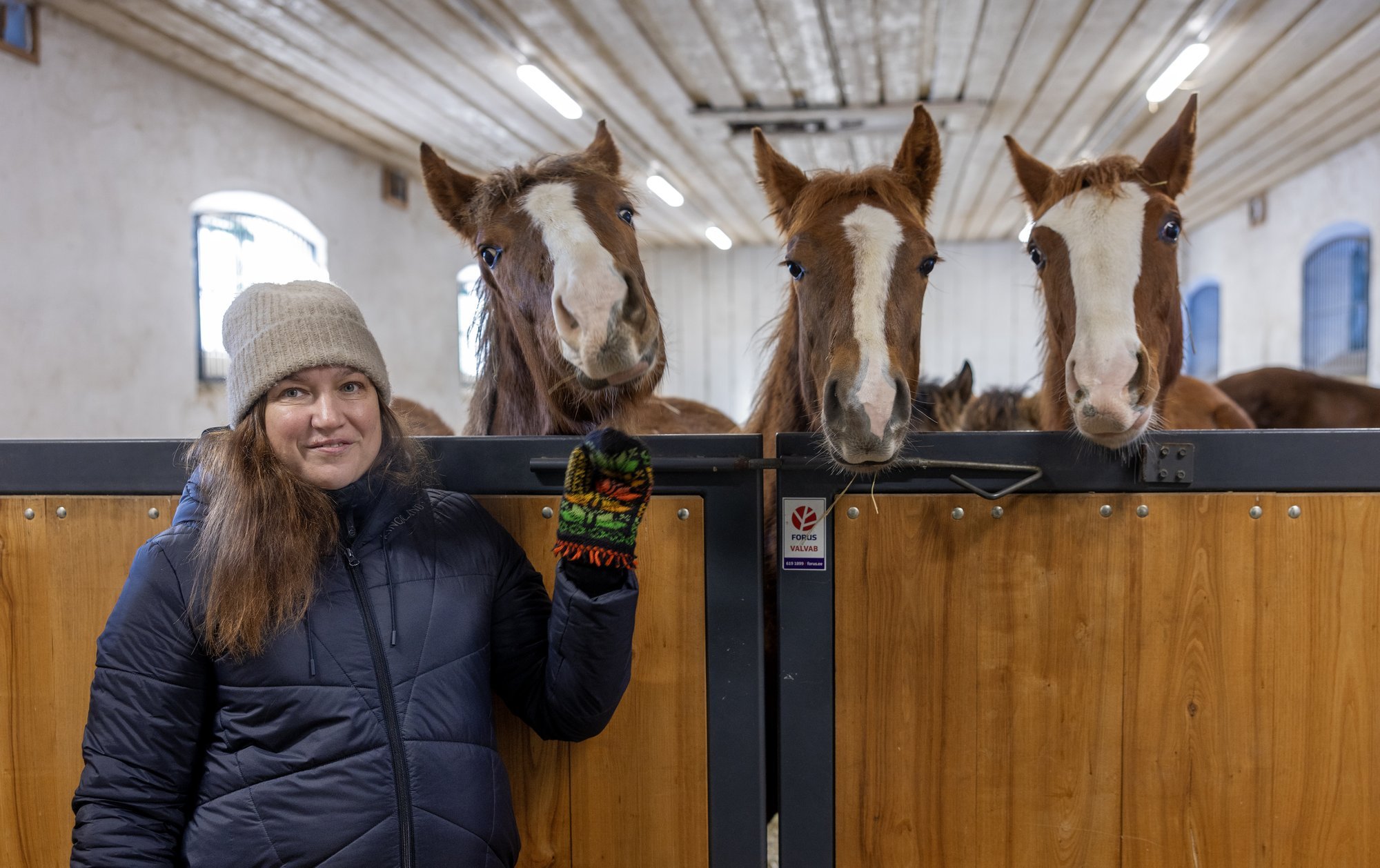 Huntide piiramisrõngas haruldaste hobuste ümber tõmbub koomale