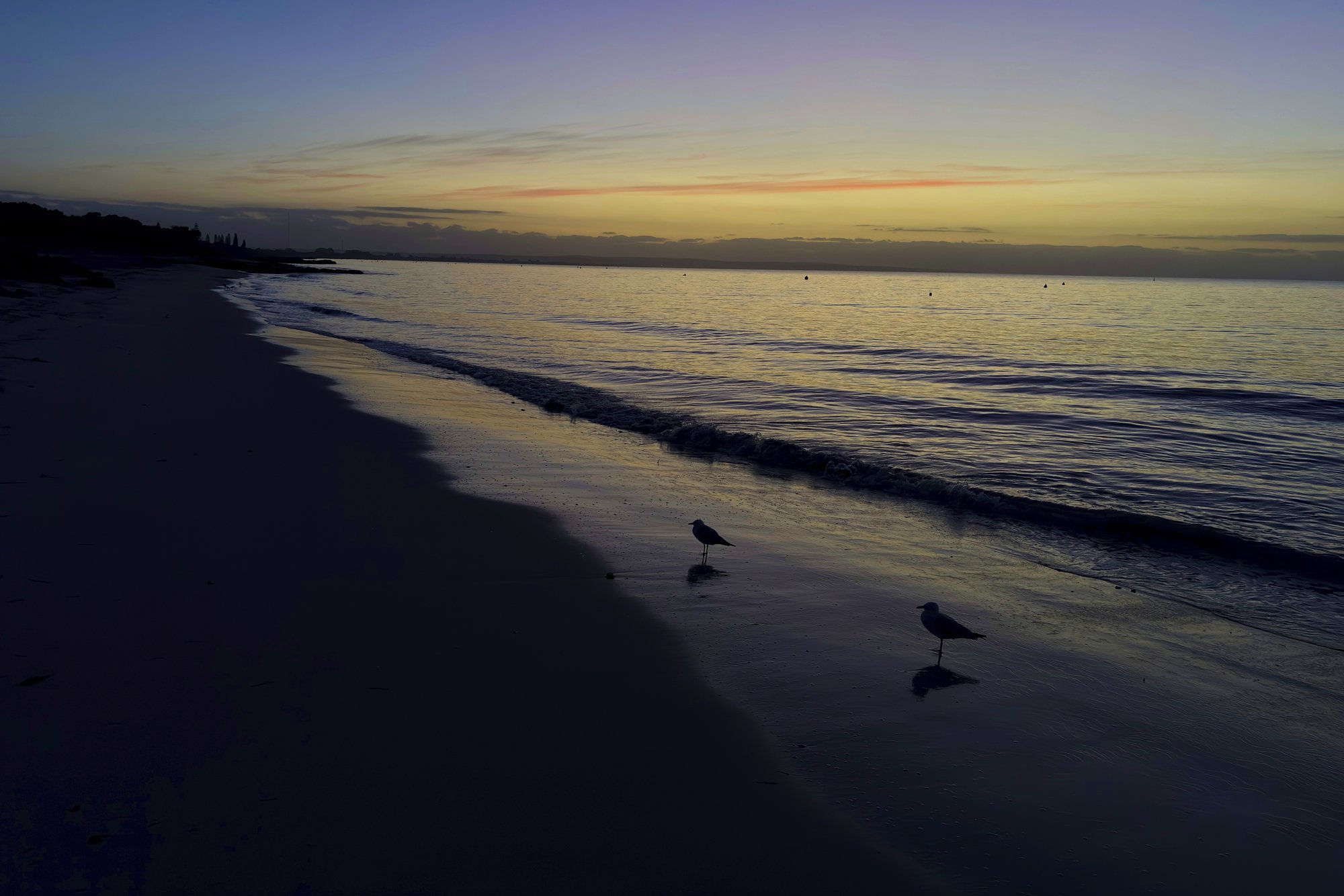 Austraalias ujus „üliinimlik“ teismeline tunde, et päästa oma merehätta sattunud perekond