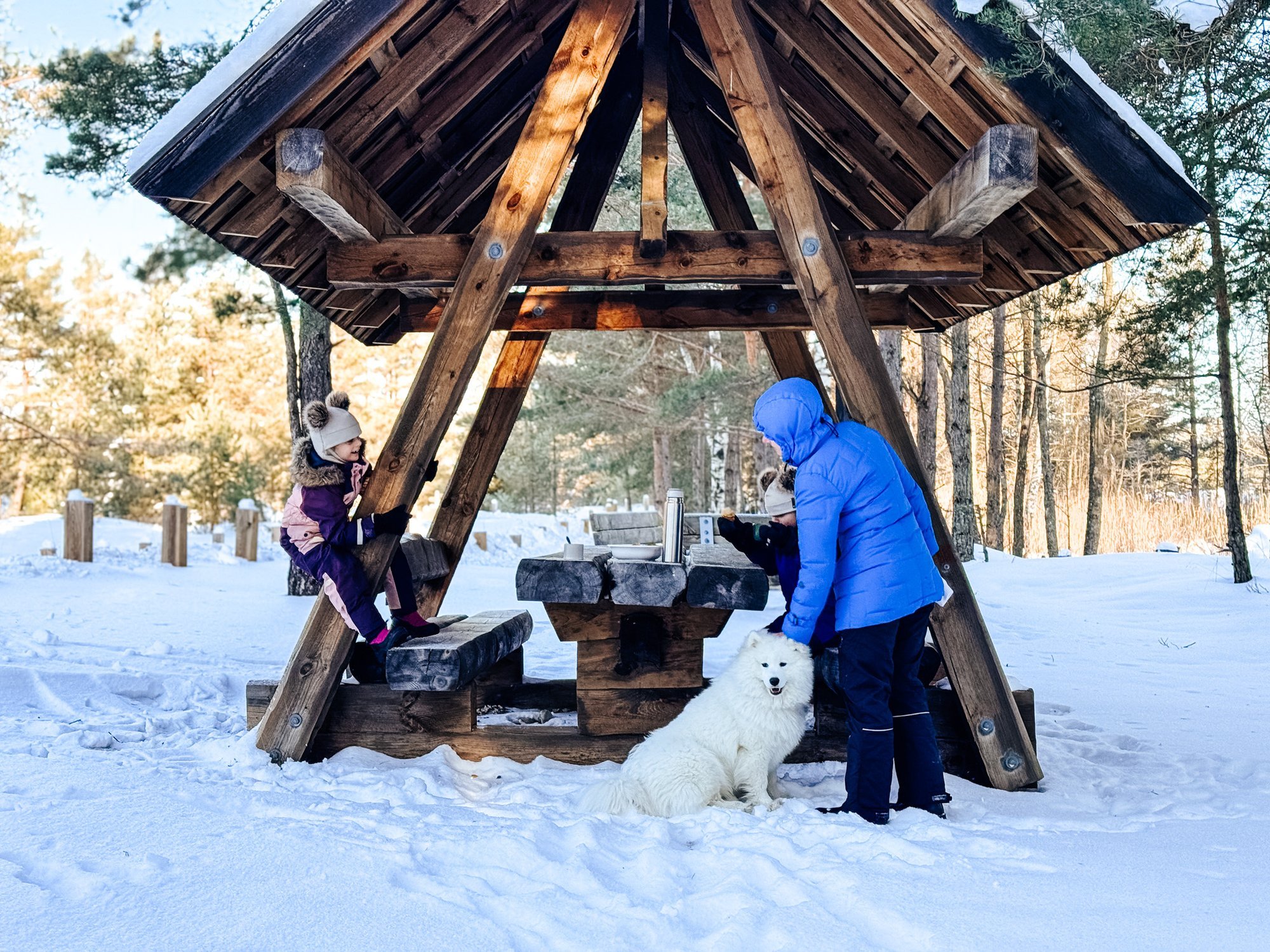 RMK kutsub matkama: talvises metsas näeb nii mõndagi, mida muul ajal ei märka