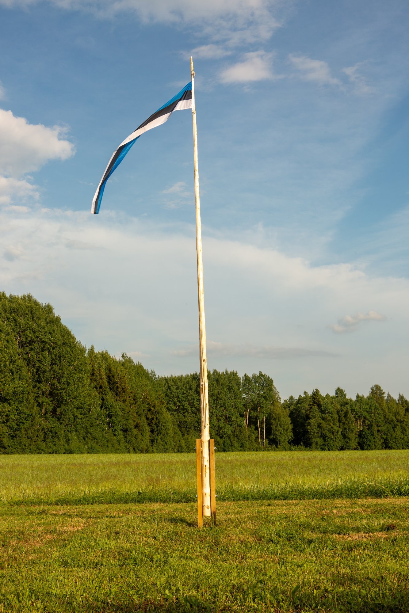 Valmista maamaja juurde pisut tahumatu välimusega lipumast