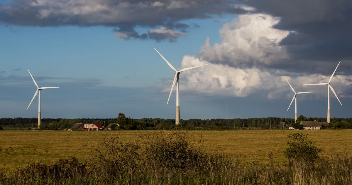 Üle Eesti jätkuvad tasuta koolitused uute roheoskuste omandamiseks