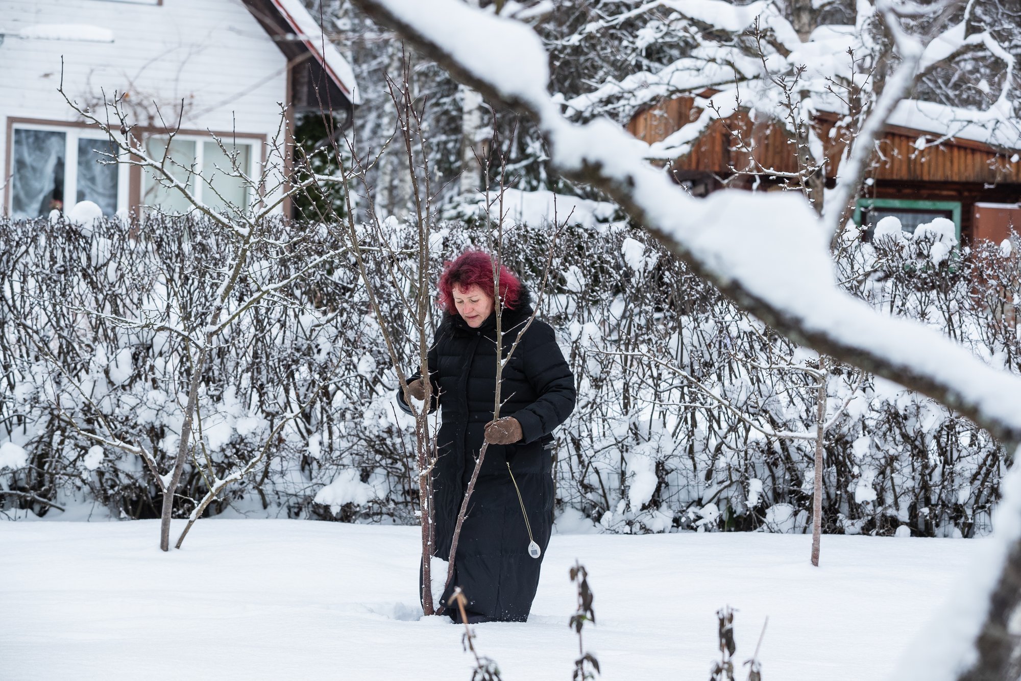 Eva Luigas soovitab veebruaris teha neid aiatöid. Lisatud Thunide kalender