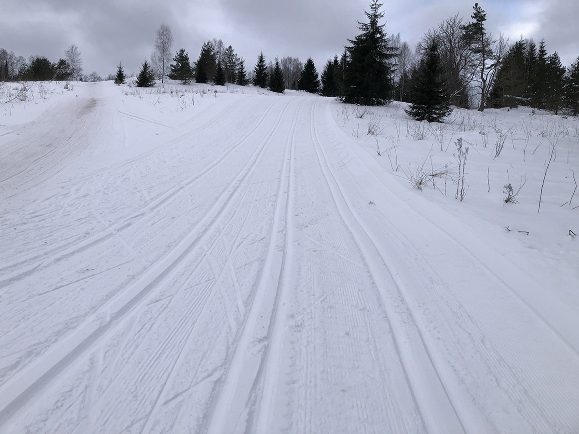 Rõõmusõnum! Tartu Maraton toimub täies pikkuses originaalrajal