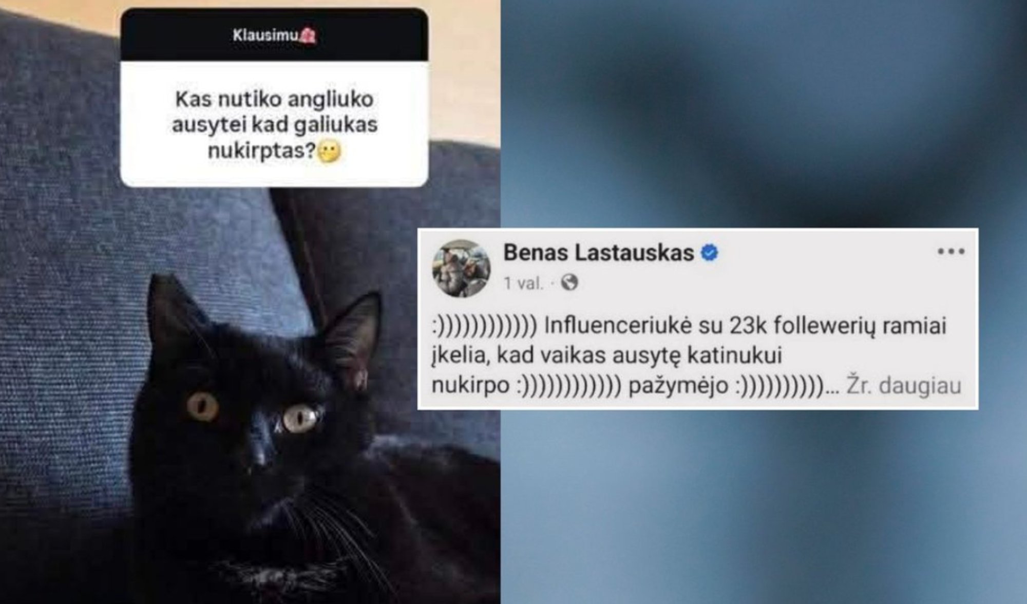 Leedu blogija šokeeris oma jälgijaid fotoga kassist, kelle kõrva osa oli tema laps ära lõiganud. Juhtunu kohta on algatatud uurimine