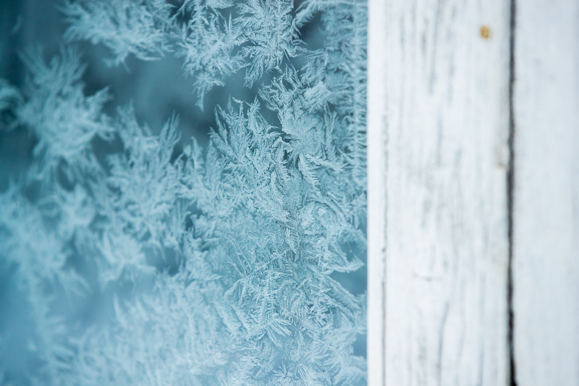 ILMATEADE | Pakane paugub: õhutemperatuur püsib kindlalt 20 miinuskraadi ümber